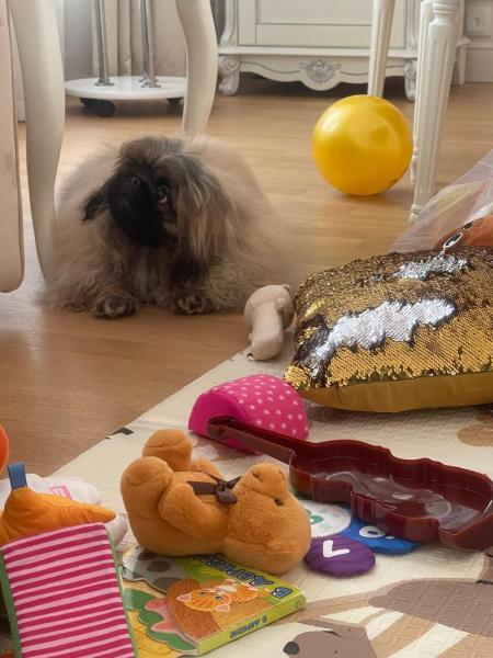 Прикрепленное изображение: т53.jpg